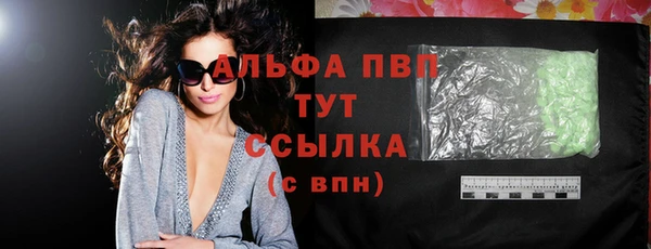 спиды Пересвет