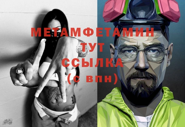 гидра Покачи