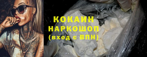 гидра Покачи