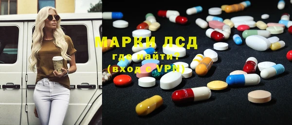 гидра Покачи