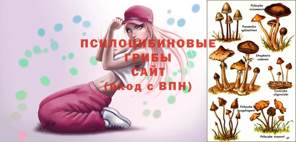 гашиш Переславль-Залесский