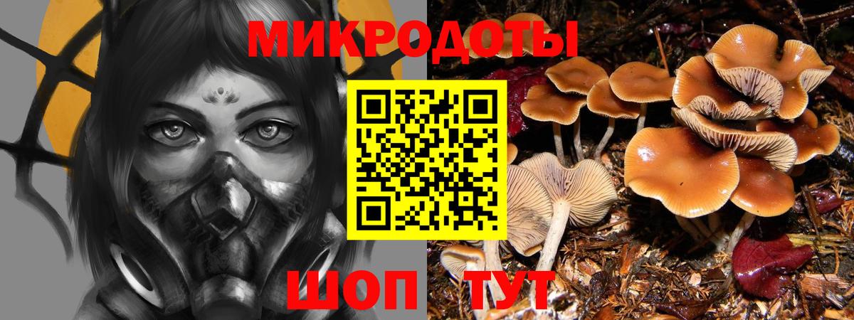 где найти наркотики  Галлюциногенные грибы MAGIC MUSHROOMS  Вход с VPN  Фрязино 
